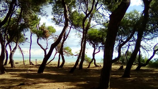 SVILUPPO SOSTENIBILE E AGENDA 2030 Modulo Interreg CRESCO Adria #02 - 2026 (master Metodi e strumenti per la transizione verde e digitale dei territori)